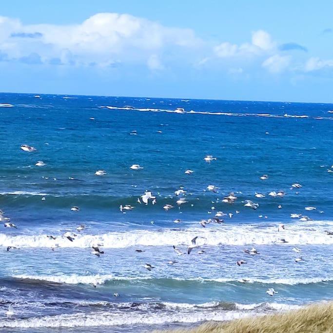 Gite Kerbourc'H Charmant Et Confortable, Mer Et Plages A 3Km, Ploudalmezeau Luaran gambar